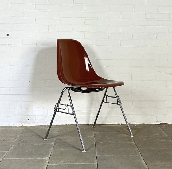 Image 1 of Conjunto de 9 sillas DSS, Charles & Ray Eames para Herman Miller
