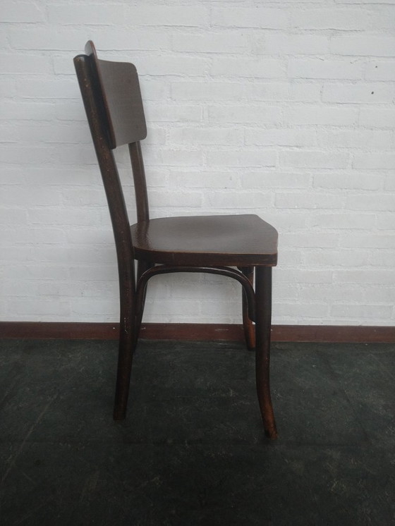 Image 1 of Silla Thonet Mundus con estampado de cocodrilo