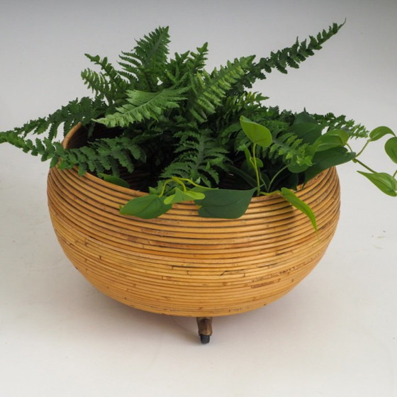 Pair of Italian Mid-Century Pencil-Reed Rattan Planters Attributed to Vivai Del Sud – Plant pot (photo 13 of 23)