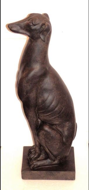 Beeld van Windhond