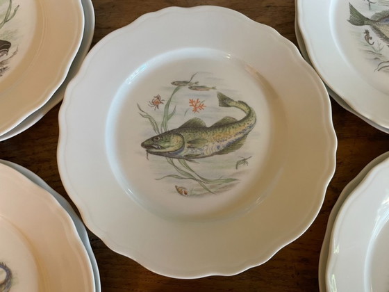 Image 1 of Piatti e ciotola in porcellana di Limoges con pesce francese