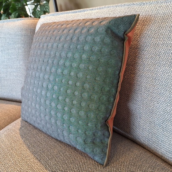 Image 1 of Pode dew salmon kussens