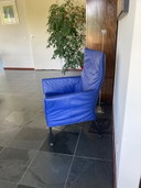 Royal Blue Charlie