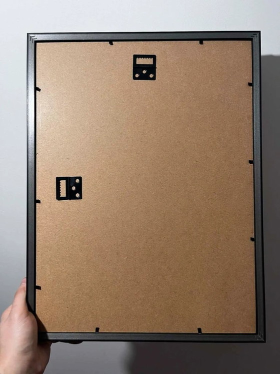 Image 1 of Kunstwerk met zwarte zwaan, ingelijste wanddecoratie.