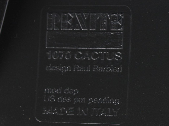 Image 1 of Appendiabiti Rexite Cactus