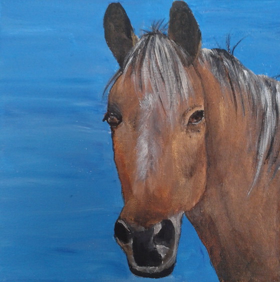 Image 1 of Pferdebilder 3 Stück