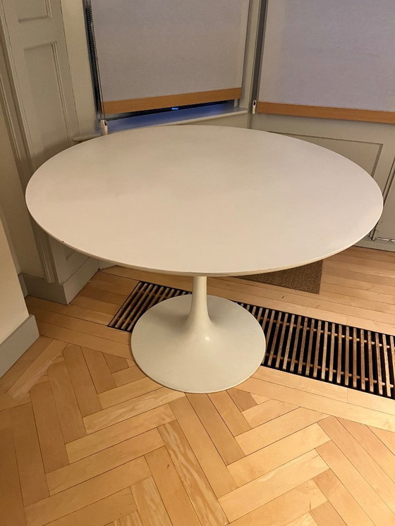 Image 1 of Mesa Tulip M. Burke para Arkana