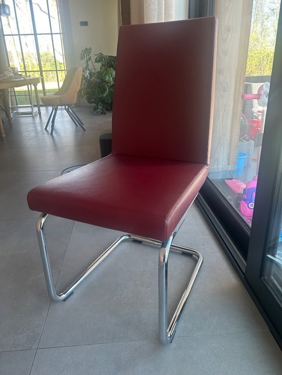 Image 1 of Sedie da pranzo Rolf Benz 620 rosso scuro