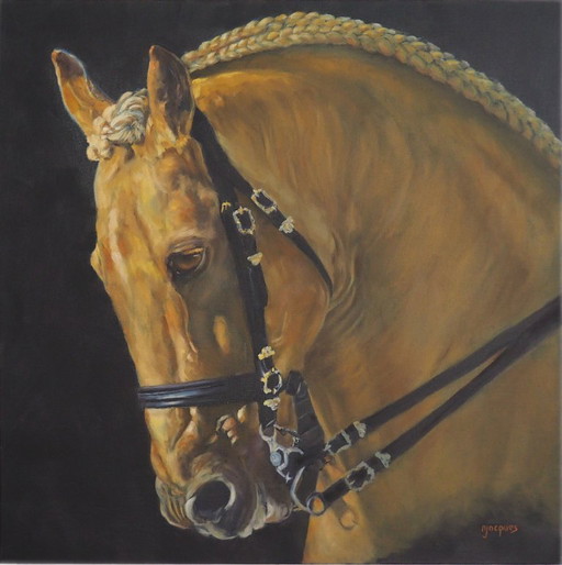 L'Etalon  Huile sur toile - Sylvie AJACQUES