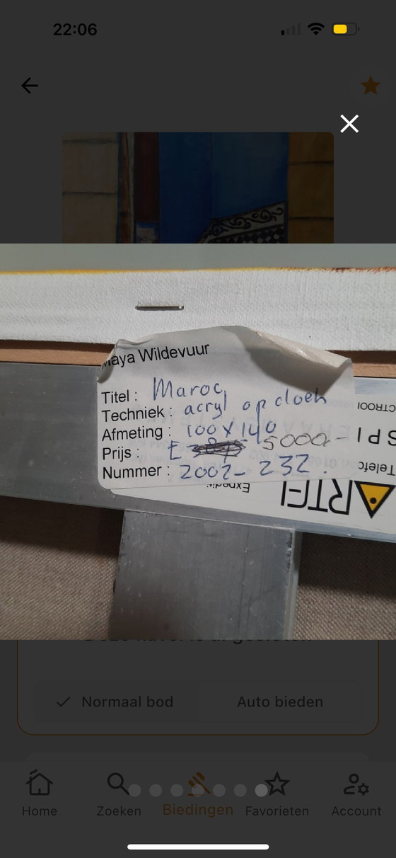 Image 1 of Maya wildfire - large work - acrylic painting - 100x140 cm Morocco