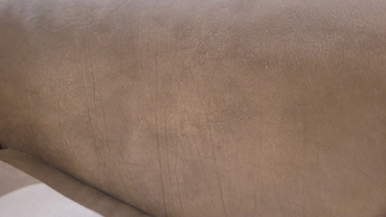 Image 1 of y Daley Seppia