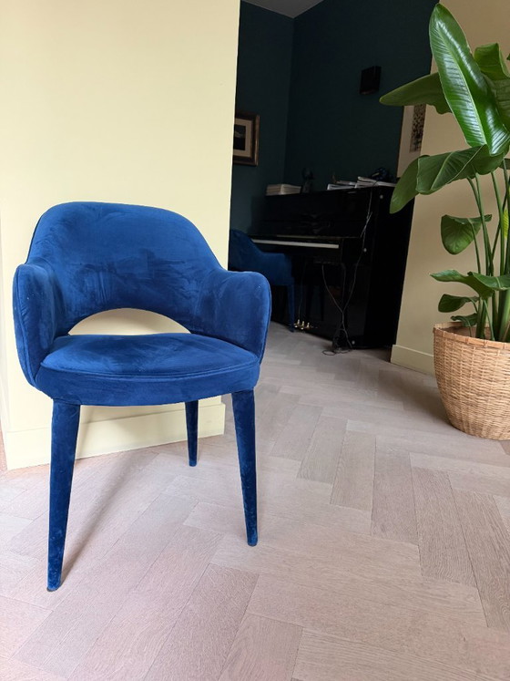 Pols Potten, 5 piezas en excelente estado, color terciopelo azul – Sillas de comedor, Velvet (photo 5 of 5)