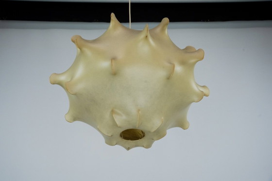 Image 1 of Rara lampada a sospensione in bozzolo di fiori di Taraxacum, prima edizione, anni '60.