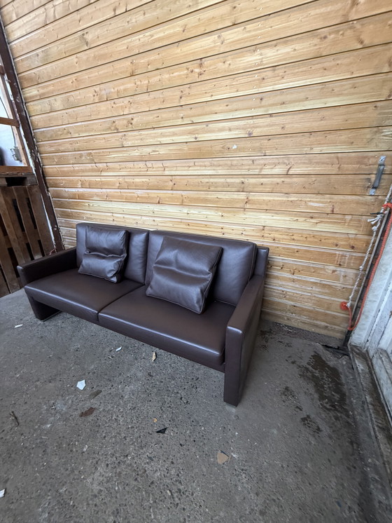 Image 1 of Sofá Leolux Timandra de 2,5 plazas (172 cm)