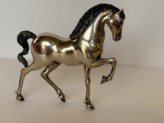 Image 1 of Cheval Saturno en argent massif