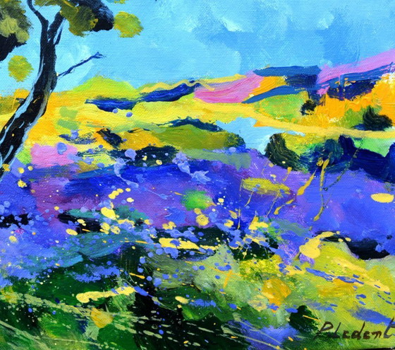 Image 1 of Summer 4426