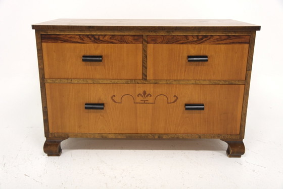 Cassettiere Scandinave in Olmo e Noce, 1930, Scandinavian (foto 2 di 5)