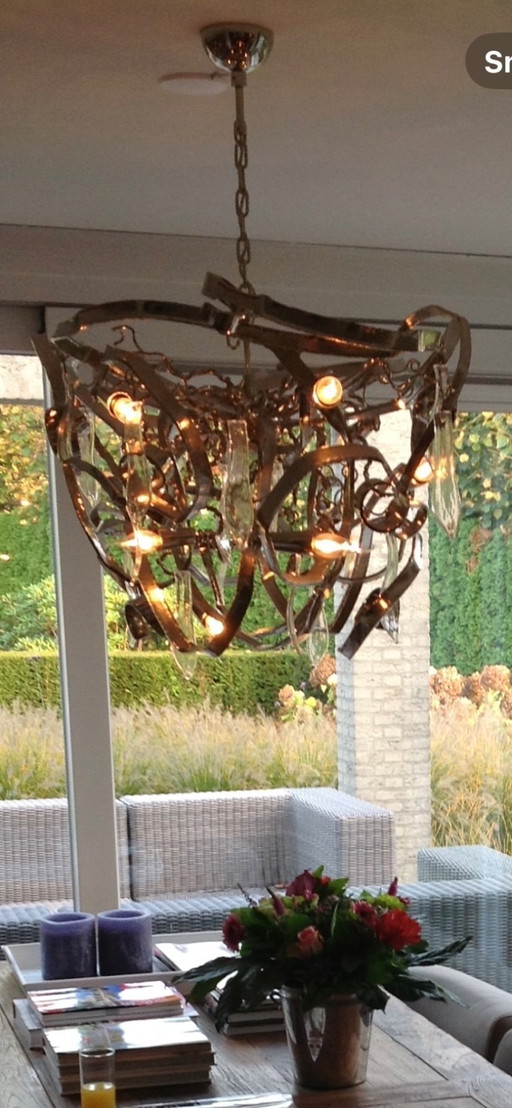 Feu d'Egmond Delpinium