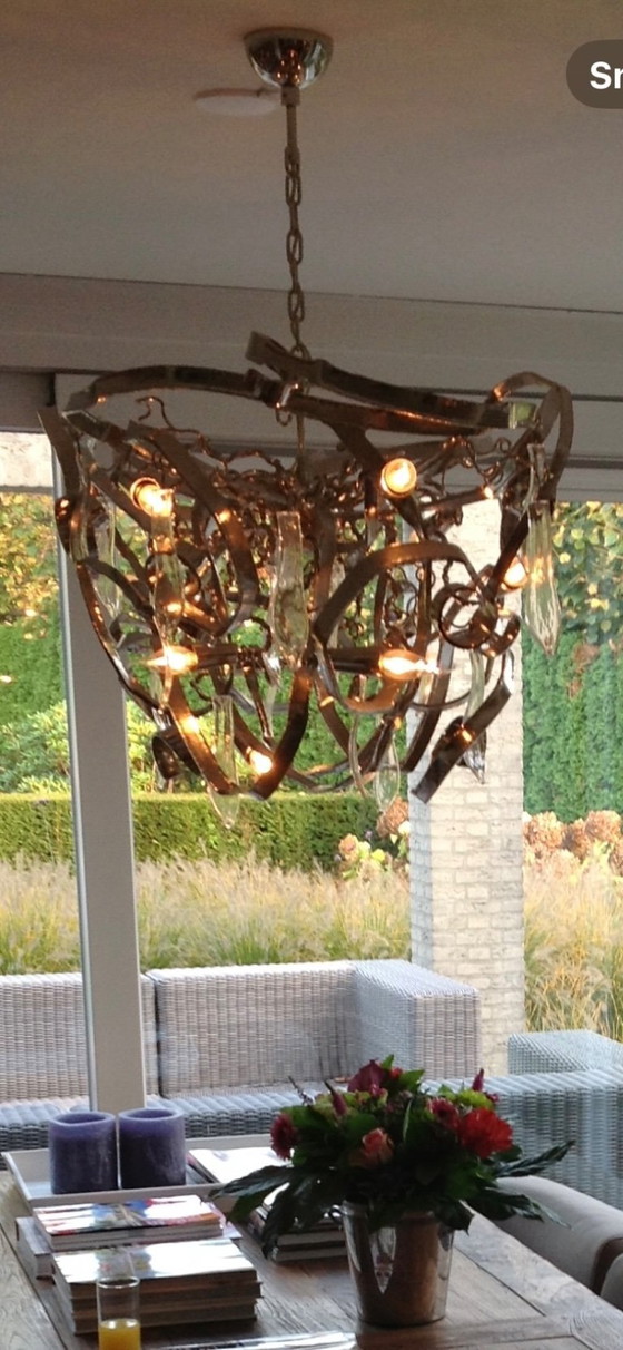 Image 1 of Brand van Egmond Delpinium