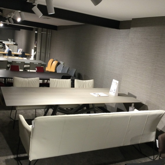 Image 1 of Table de salle à manger Musterring Nevio - 240x100 avec chaises Picara (lot de 3) et banc de salle à manger