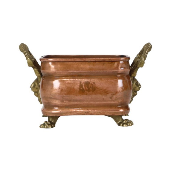 Fioriera antica in rame con piedini a zampa di leone e teste di leone, XIX secolo. – Vasi per piante, Copper (photo 2 of 14)
