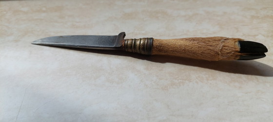 Image 1 of Coltello da caccia vintage Rehwappen Solingen con manico in zampa di cervo