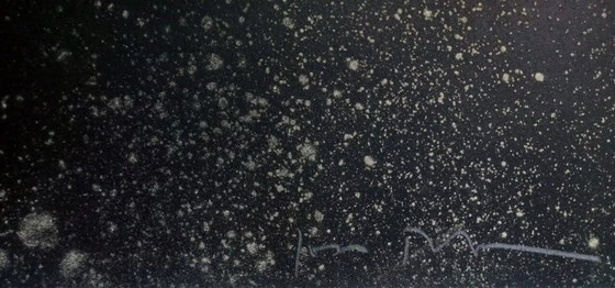 JOAN FONTCUBERTA, Lithographie mit Texturen retuschiert - Größe 95 x 74 cm. – Lithographien & Drucke, Paper (photo 3 of 5)