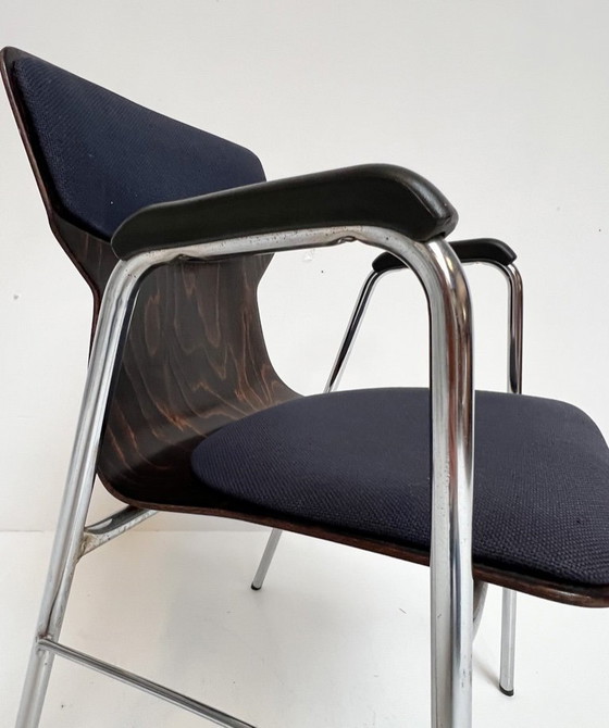 Image 1 of Satz von 6 gepolsterten Eromes Pagholz-Stühlen, 1960er Jahre