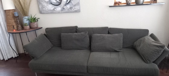 Banca Rolf Benz., Sofà, Tessile, Metallo, Marrone, Modern (foto 4 di 15)