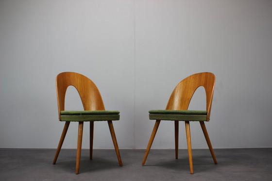 Image 1 of  Set di 2 sedie Tatra di metà secolo di Antonín Šuman per Nábytok Pravenec, 1960, Cecoslovacchia