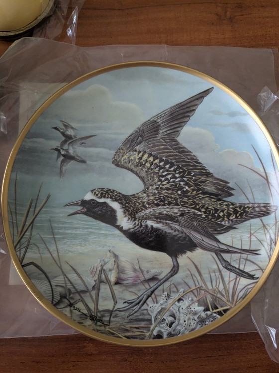 Image 1 of Basil Ede Oiseaux d'eau du monde, ensemble de 12 pièces avec système de suspension