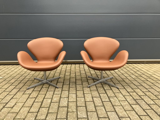 2 sedie Swan di Fritz Hansen di Arne Jacobsen in pelle color cognac, nuove!