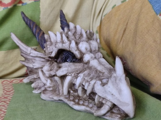 Image 1 of Hucha calavera Dragón (de resina)