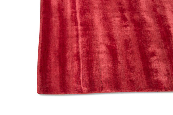 Image 1 of Trévise Fuoco