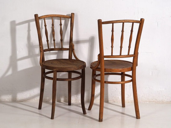 Antique bentwood dining chairs (c.1920). Set of 6 pieces #2 (photo 33 of 40)