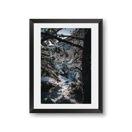 Mountain Scenery Photography / FullColor / Professional Print