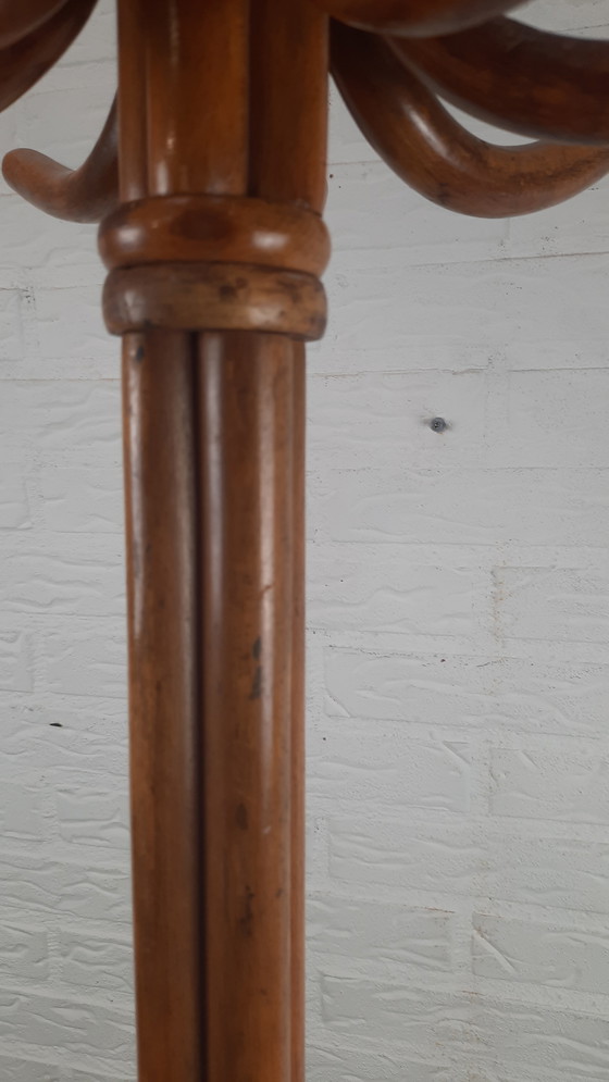 Image 1 of Appendiabiti da terra Thonet