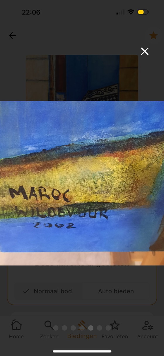 Image 1 of Maya wildfire - large work - acrylic painting - 100x140 cm Morocco