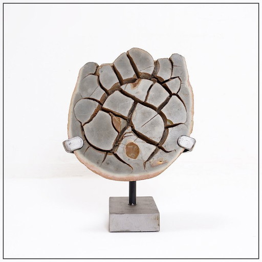 massive septarian nodule on base - Belgium