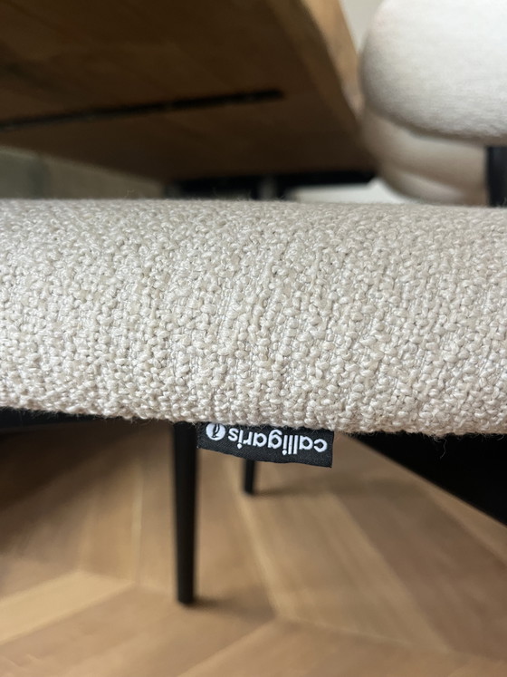 Image 1 of 6x Calligaris Oleandro chair