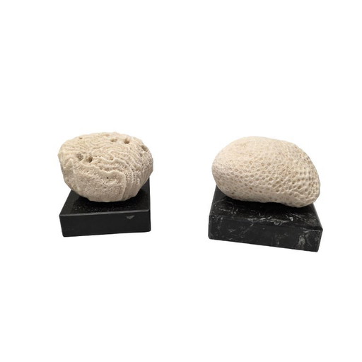 Corallo antico su piedini in marmo, inizio XX secolo