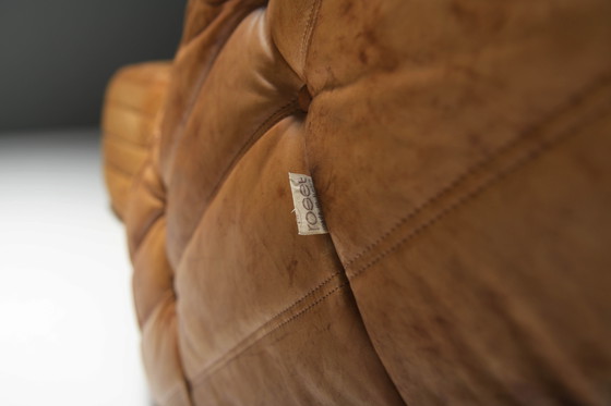 Image 1 of Perfect Rich Patinated Togo in Original Natural Leather by Michel Ducaroy - Ligne Roset