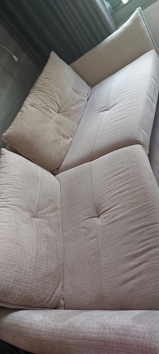 Banc Albi Henders & Hazel 4 places
