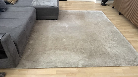 Tapis design Ferreira de Sà-Shade/GLEAM-100% Soie Botanique 240x250 cm – Silk (photo 10 of 20)