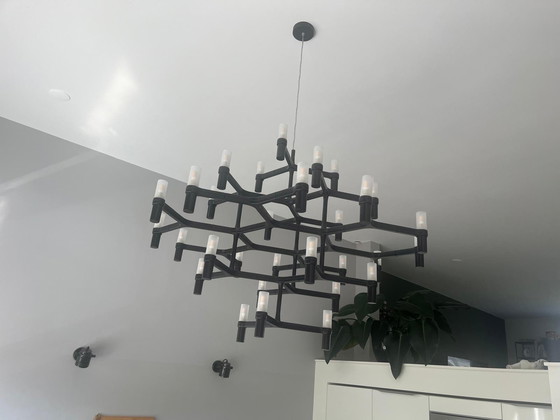 Image 1 of Nemo Crown Major