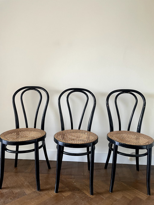3x Thonet