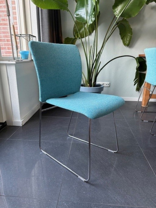 Design on Stock dining chairs