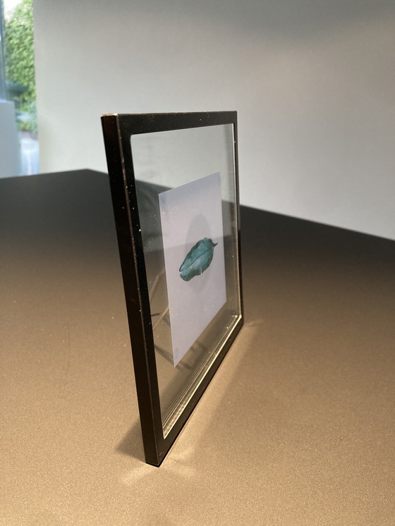 Image 1 of Picture frame with illustration of teal feather