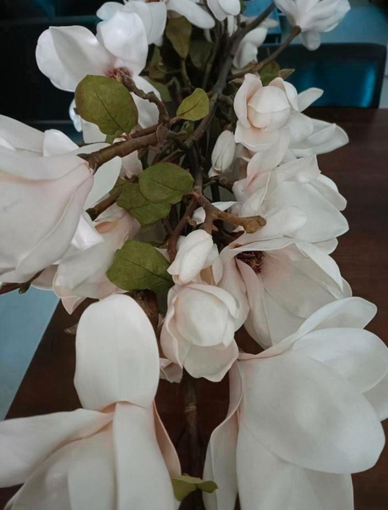 Image 1 of 1 jarrón de concha ovalada y 2 jarrones de concha de nácar con cuencos rotos