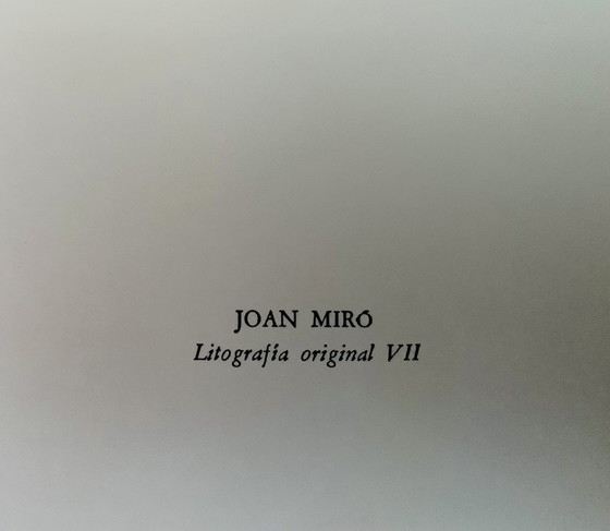 Image 1 of Litografía Original VII, 1972, Mourlot 863.